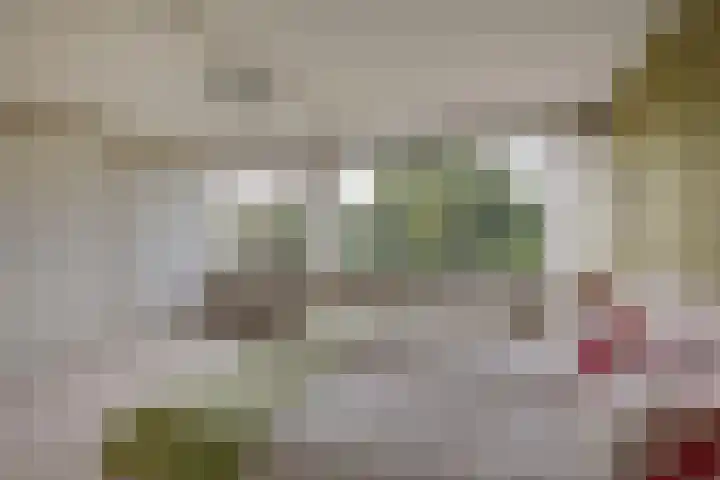 Eline Verestraat 25 Amstelveen thumbnail 35