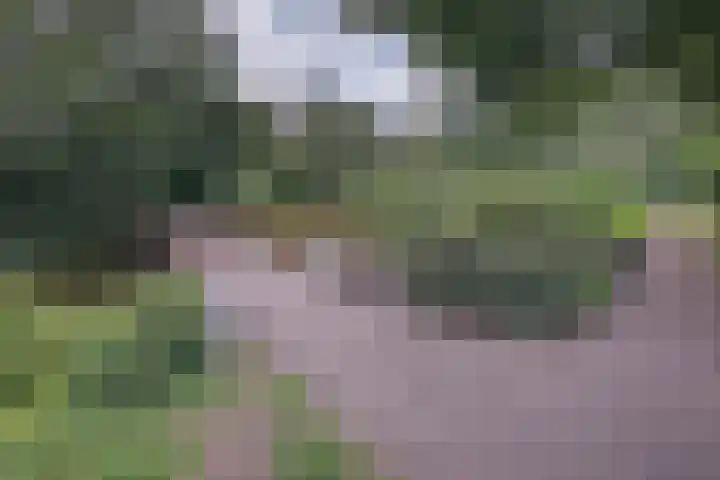 Eline Verestraat 25 Amstelveen thumbnail 47