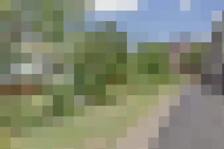 Eline Verestraat 3 Gouda thumbnail 32