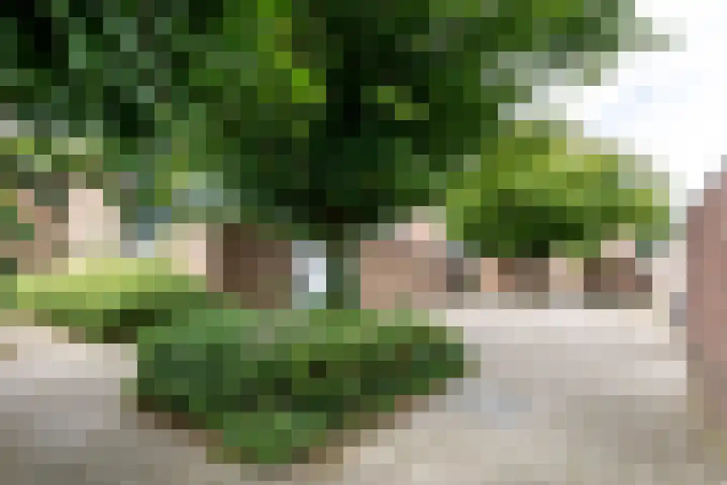 Elisa-Gracht 16 Kerkrade thumbnail 24
