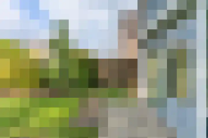 Elisa-Gracht 32 Kerkrade thumbnail 30