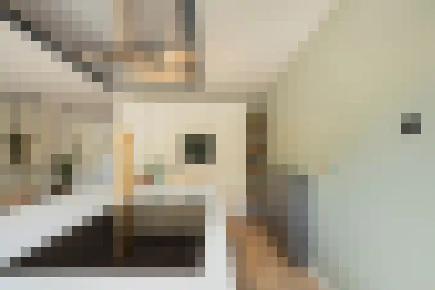 Elisa van Calcarstraat 36 C Hoofddorp thumbnail 14