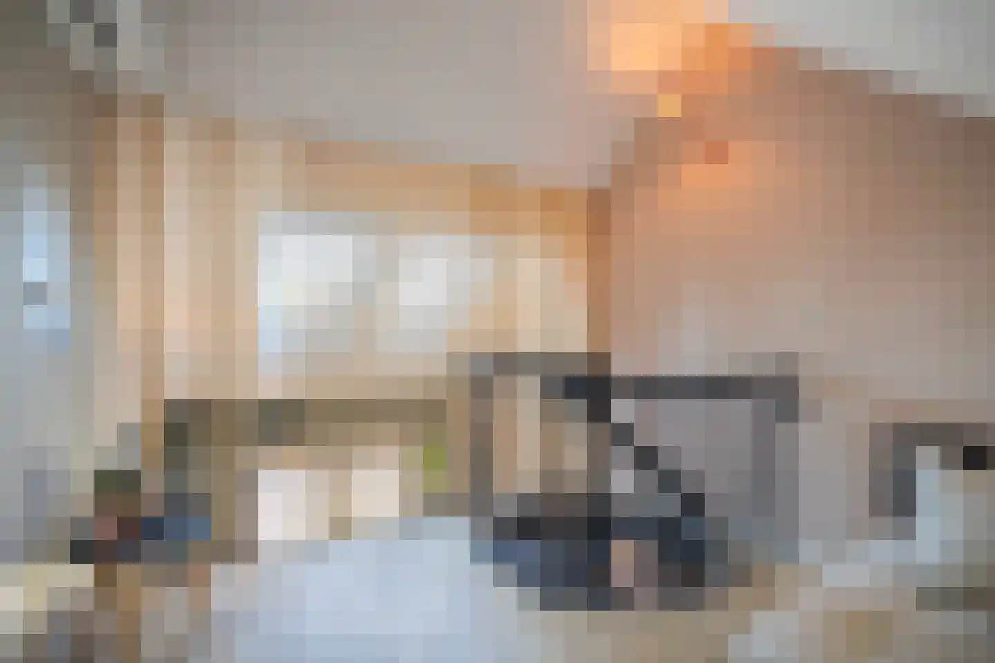 Elisa van Calcarstraat 36 C Hoofddorp thumbnail 22