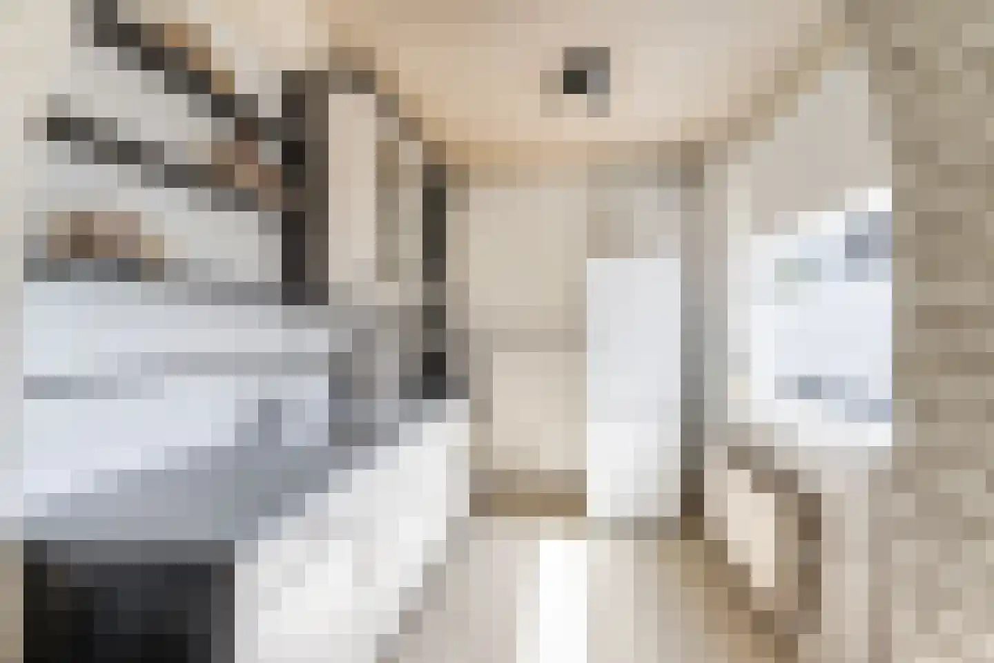 Elisabet van Egmontstraat 10 Naaldwijk thumbnail 10