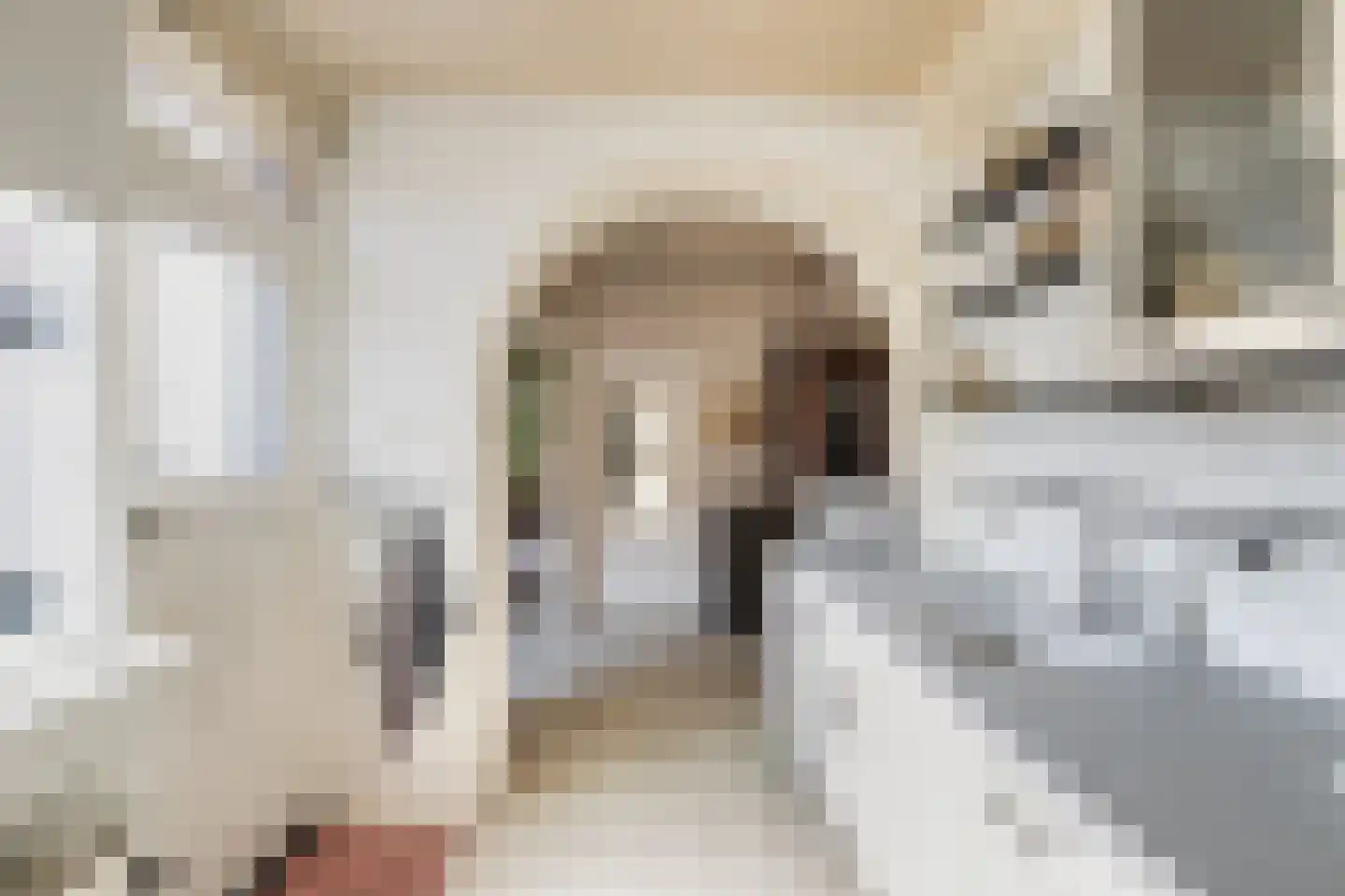 Elisabet van Egmontstraat 10 Naaldwijk thumbnail 11