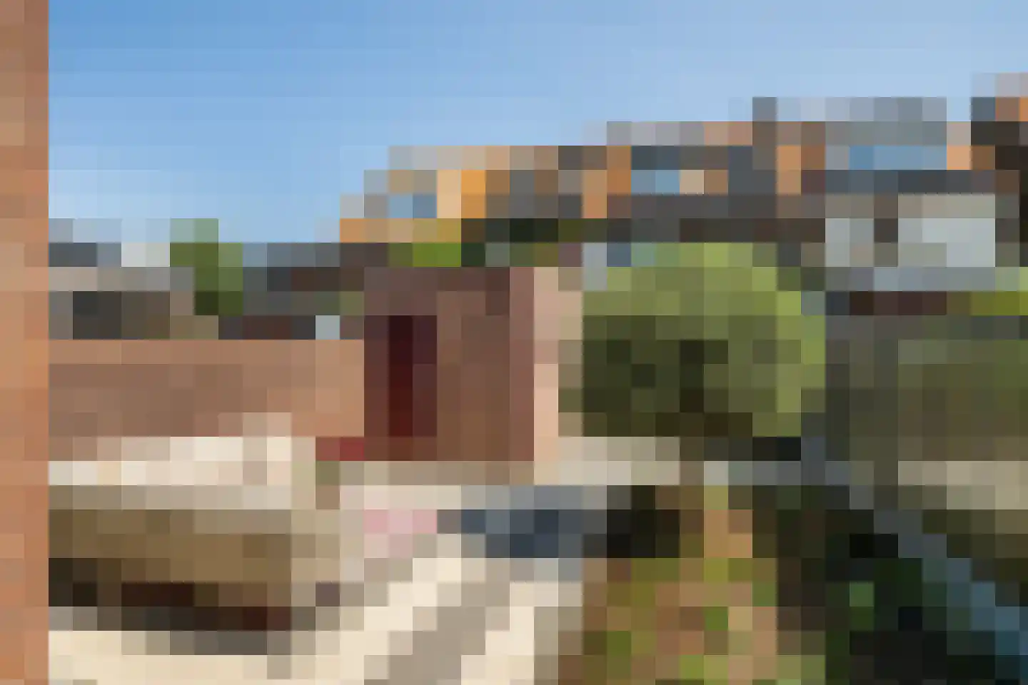 Elisabet van Egmontstraat 10 Naaldwijk thumbnail 13