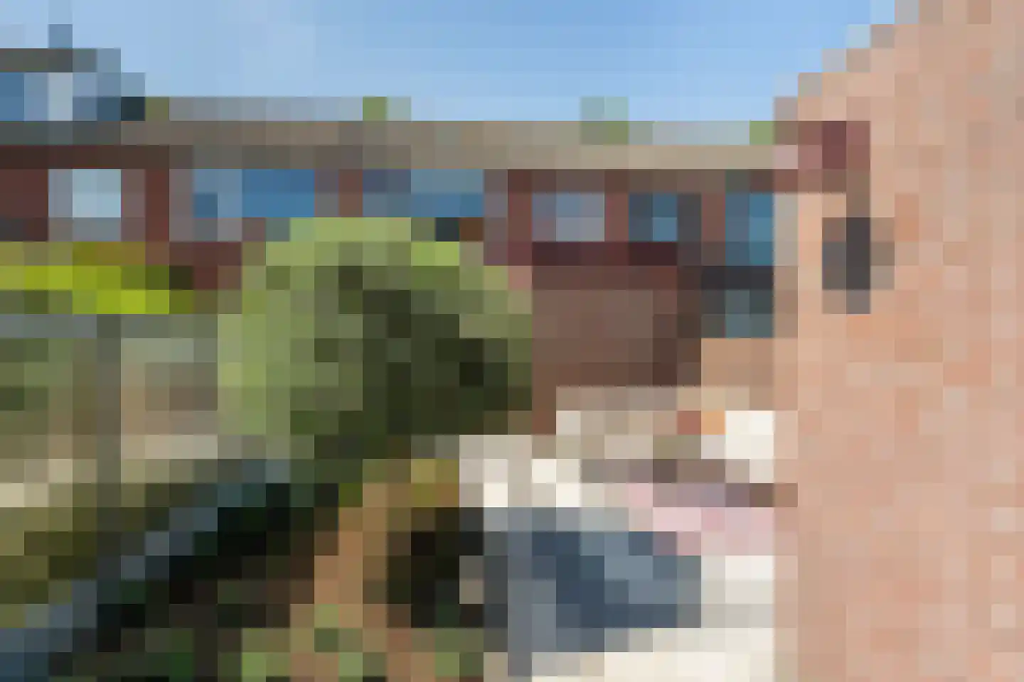 Elisabet van Egmontstraat 10 Naaldwijk thumbnail 14