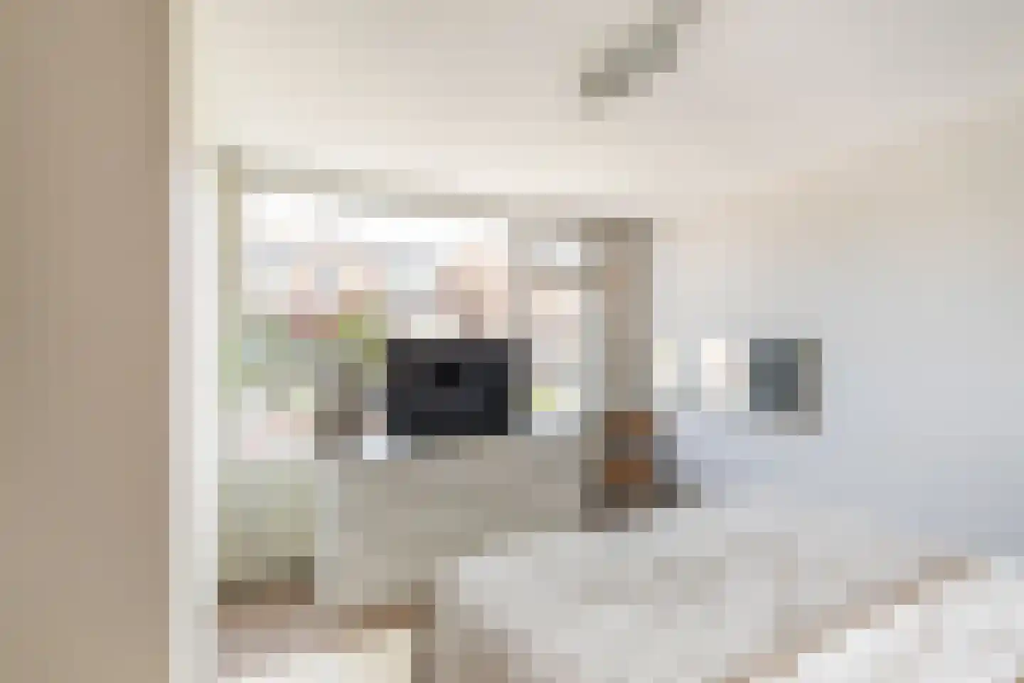 Elisabet van Egmontstraat 10 Naaldwijk thumbnail 17
