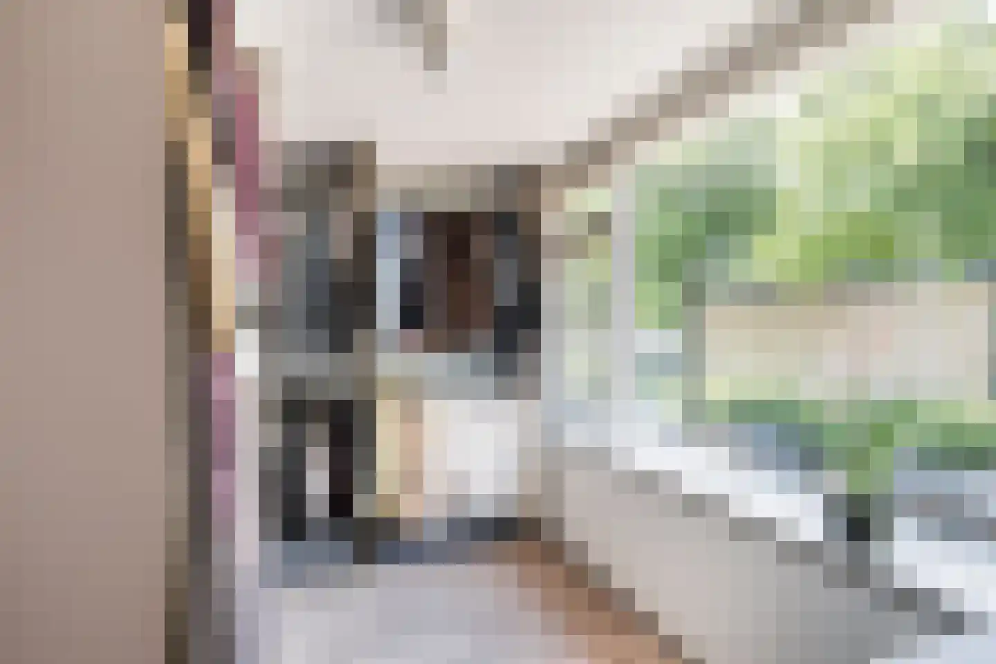 Elisabet van Egmontstraat 10 Naaldwijk thumbnail 20