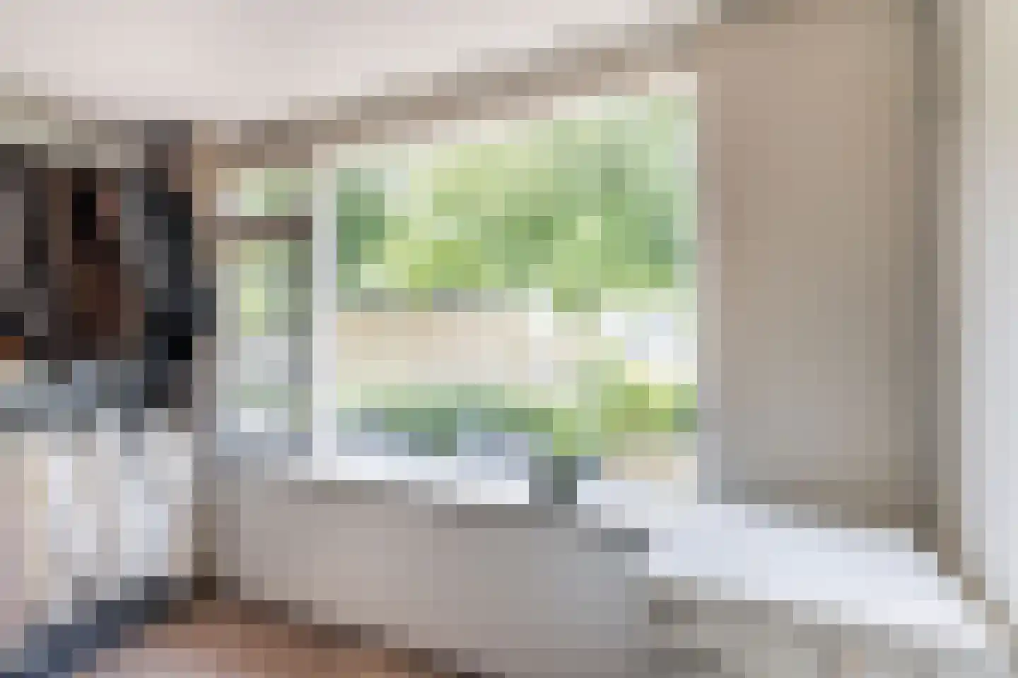 Elisabet van Egmontstraat 10 Naaldwijk thumbnail 22