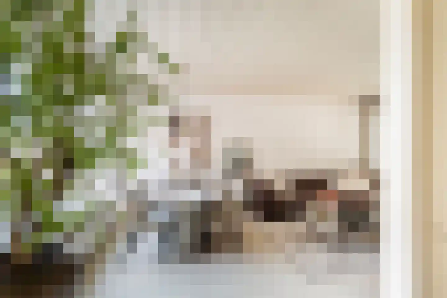 Elisabet van Egmontstraat 10 Naaldwijk thumbnail 5