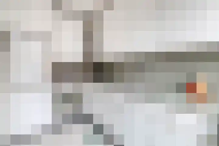 Elisabet van Egmontstraat 2 Naaldwijk thumbnail 12