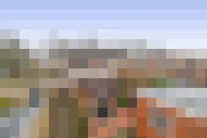 Elisabet van Egmontstraat 2 Naaldwijk thumbnail 17