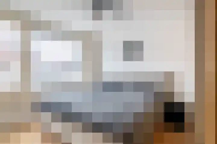 Elisabet van Egmontstraat 2 Naaldwijk thumbnail 21