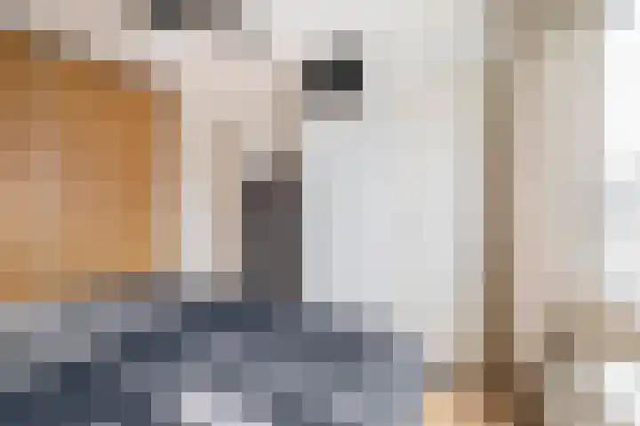 Elisabet van Egmontstraat 2 Naaldwijk thumbnail 22