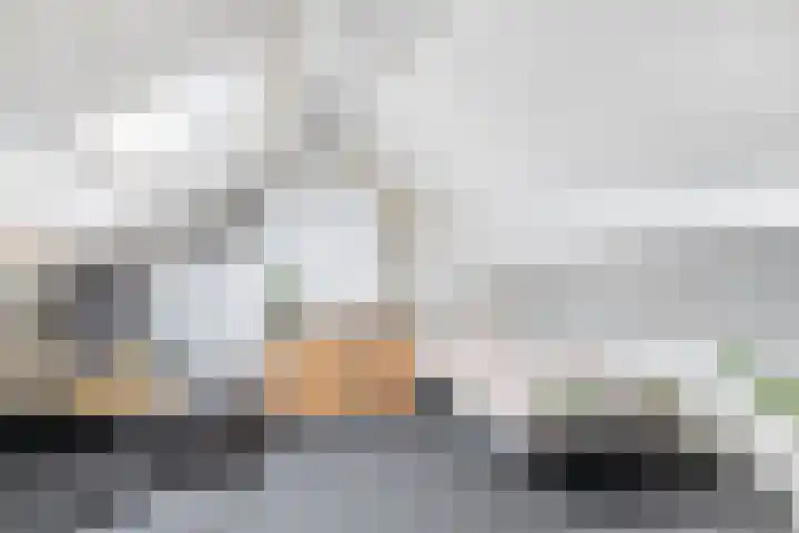 Elisabet van Egmontstraat 2 Naaldwijk thumbnail 33
