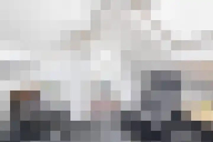 Elisabet van Egmontstraat 2 Naaldwijk thumbnail 34
