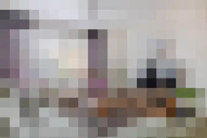 Elisabet van Egmontstraat 2 Naaldwijk thumbnail 5