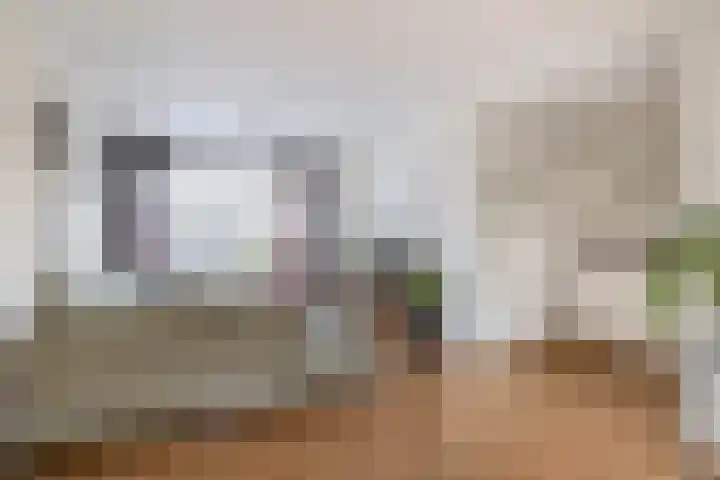 Elisabet van Egmontstraat 2 Naaldwijk thumbnail 6