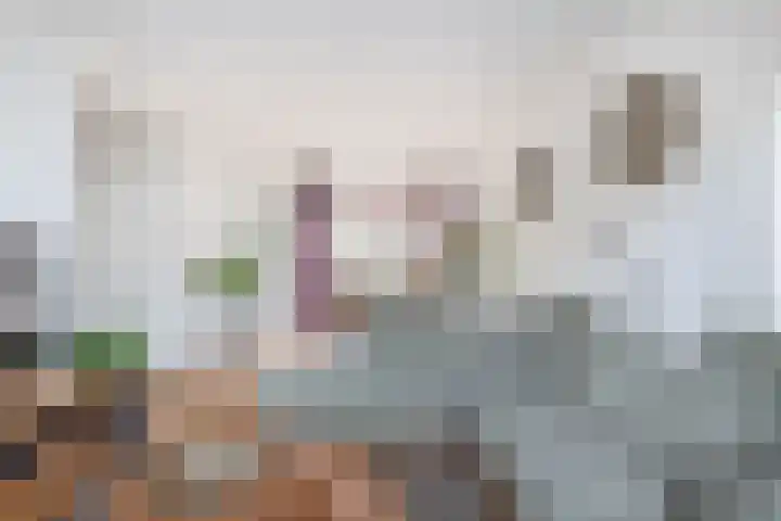 Elisabet van Egmontstraat 2 Naaldwijk thumbnail 8