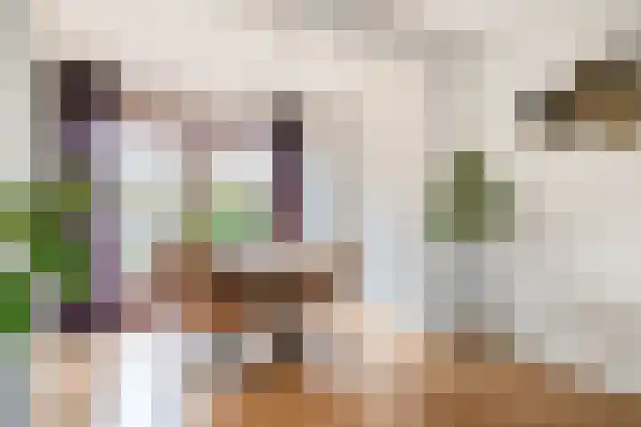 Elisabet van Egmontstraat 2 Naaldwijk thumbnail 9