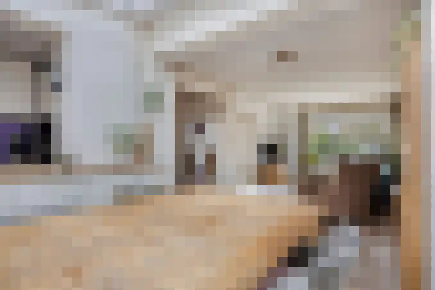Elisabet van Egmontstraat 20 Naaldwijk thumbnail 10