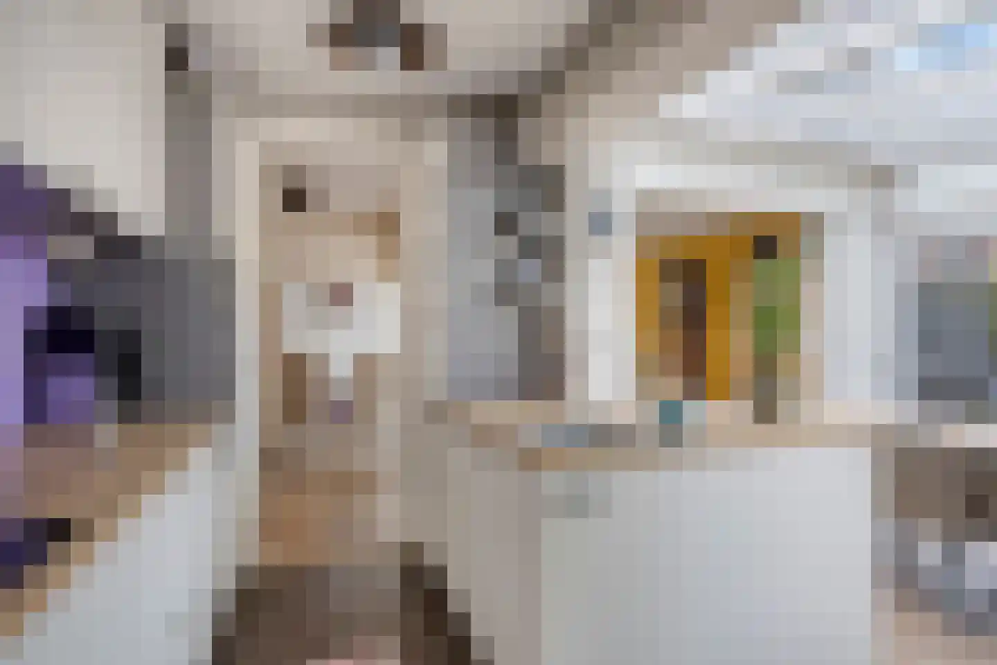 Elisabet van Egmontstraat 20 Naaldwijk thumbnail 11