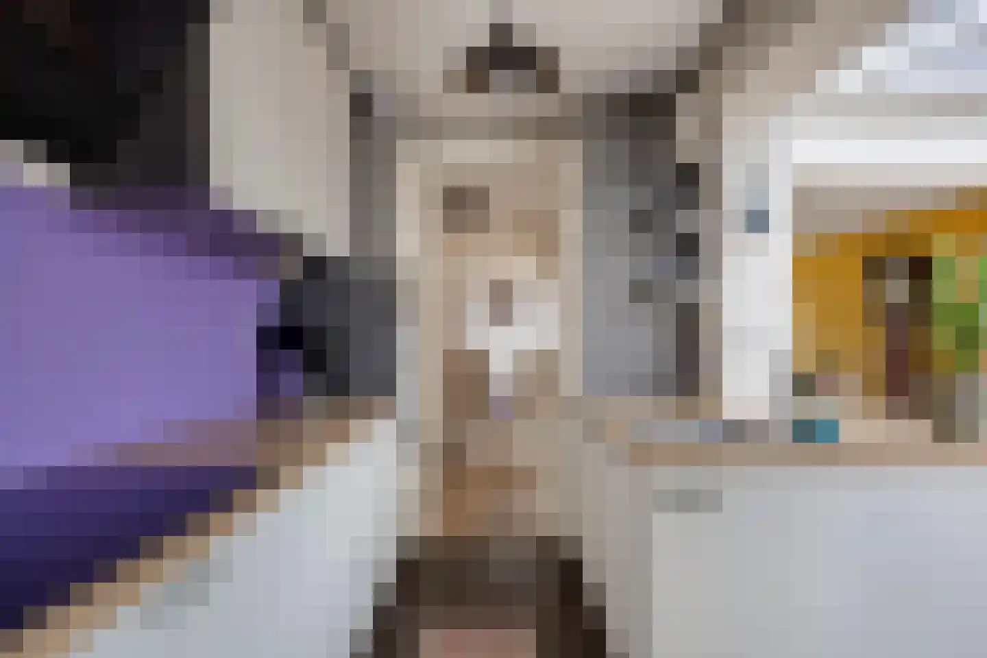 Elisabet van Egmontstraat 20 Naaldwijk thumbnail 12