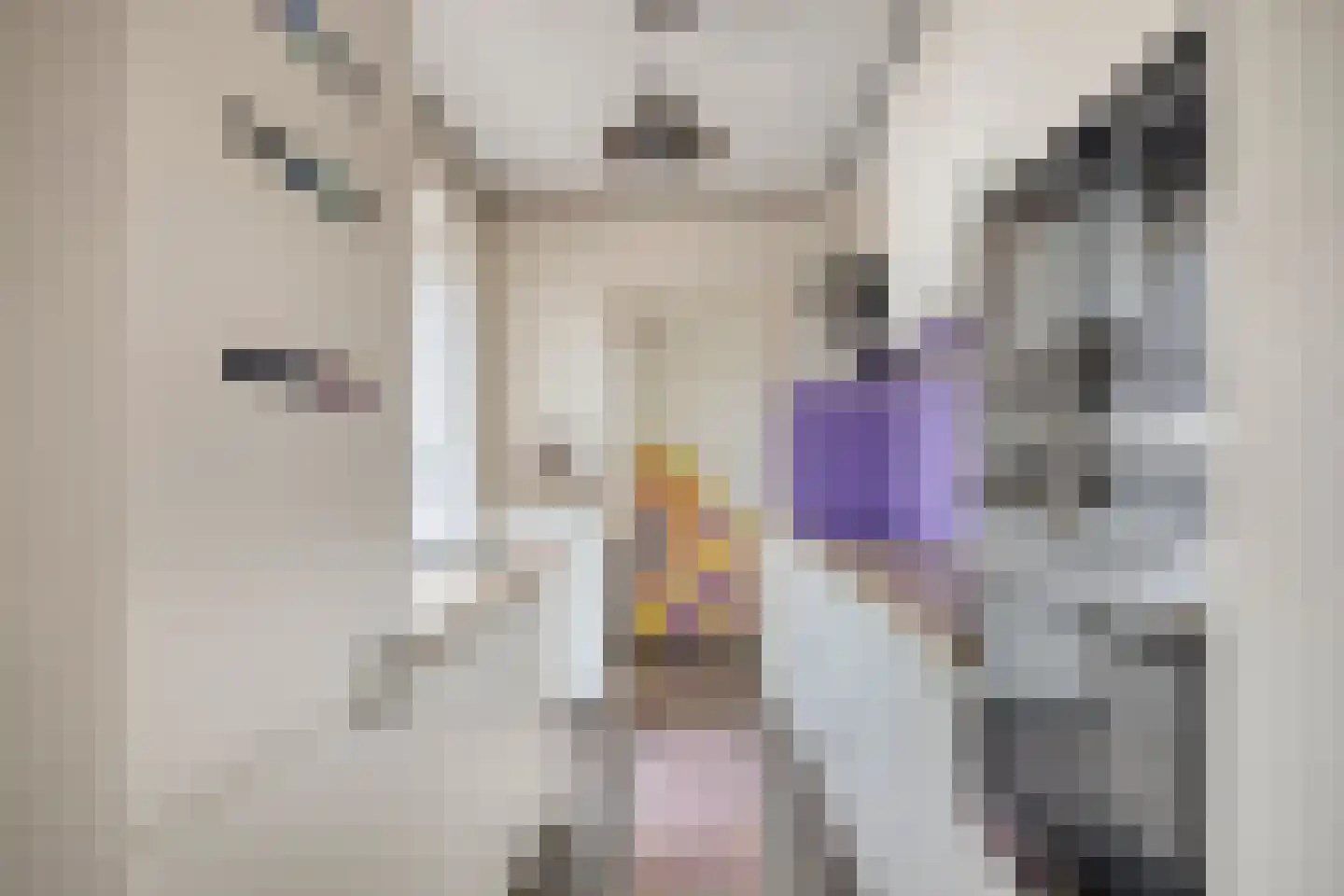 Elisabet van Egmontstraat 20 Naaldwijk thumbnail 15