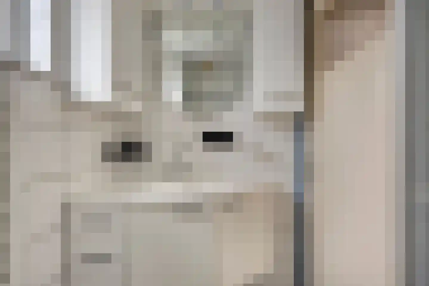 Elisabet van Egmontstraat 20 Naaldwijk thumbnail 25