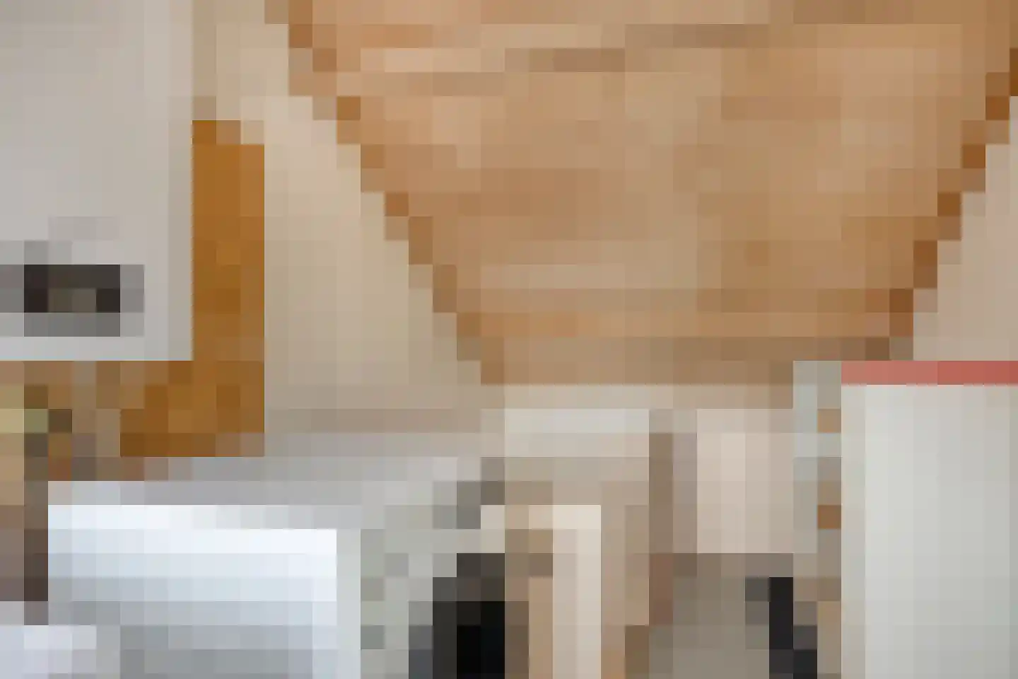 Elisabet van Egmontstraat 20 Naaldwijk thumbnail 29