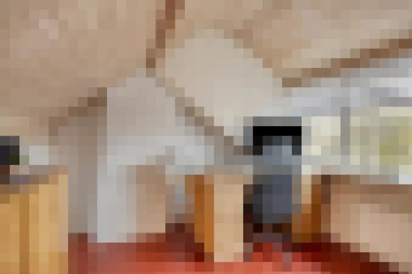 Elisabet van Egmontstraat 20 Naaldwijk thumbnail 30