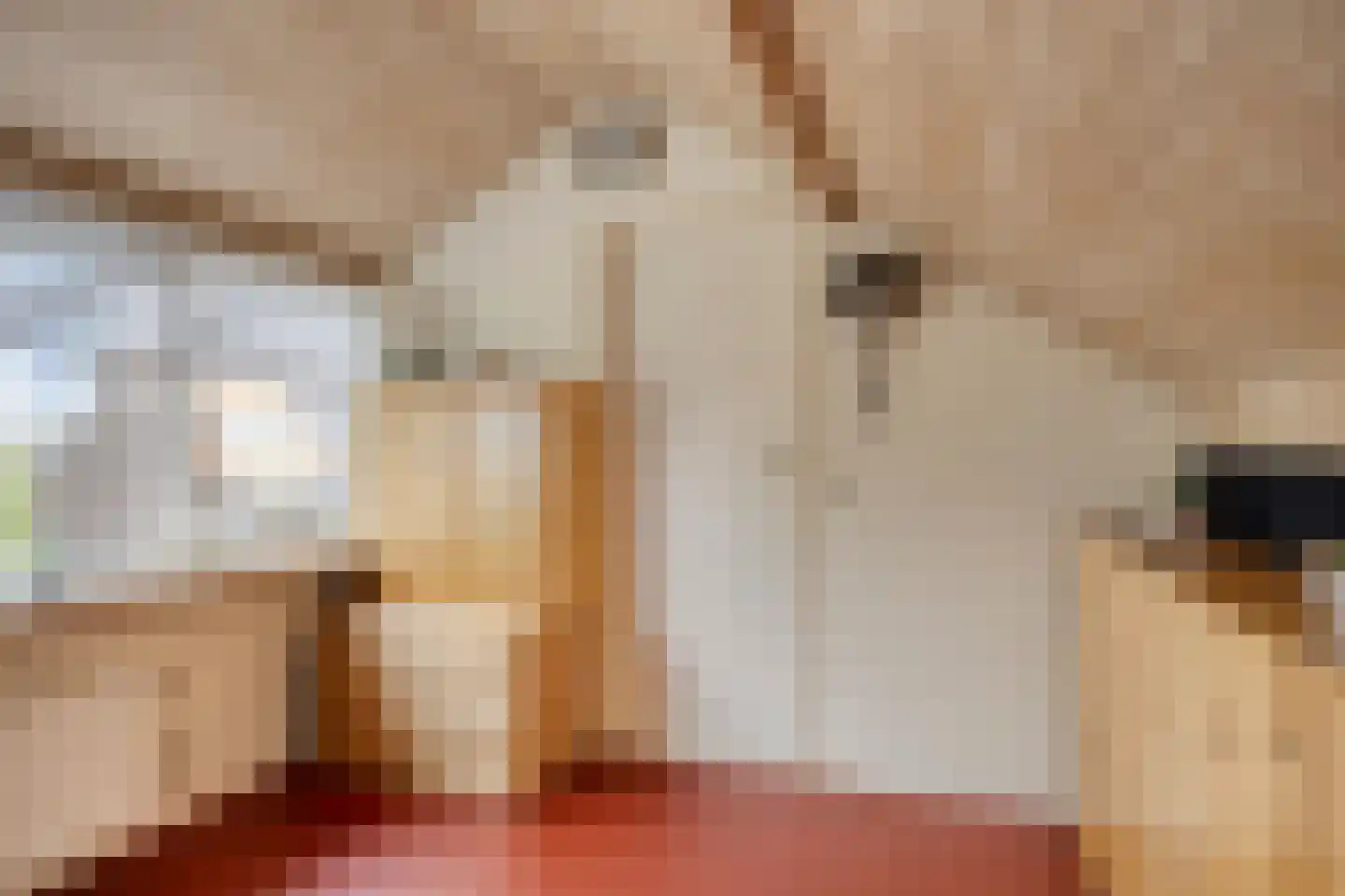 Elisabet van Egmontstraat 20 Naaldwijk thumbnail 31