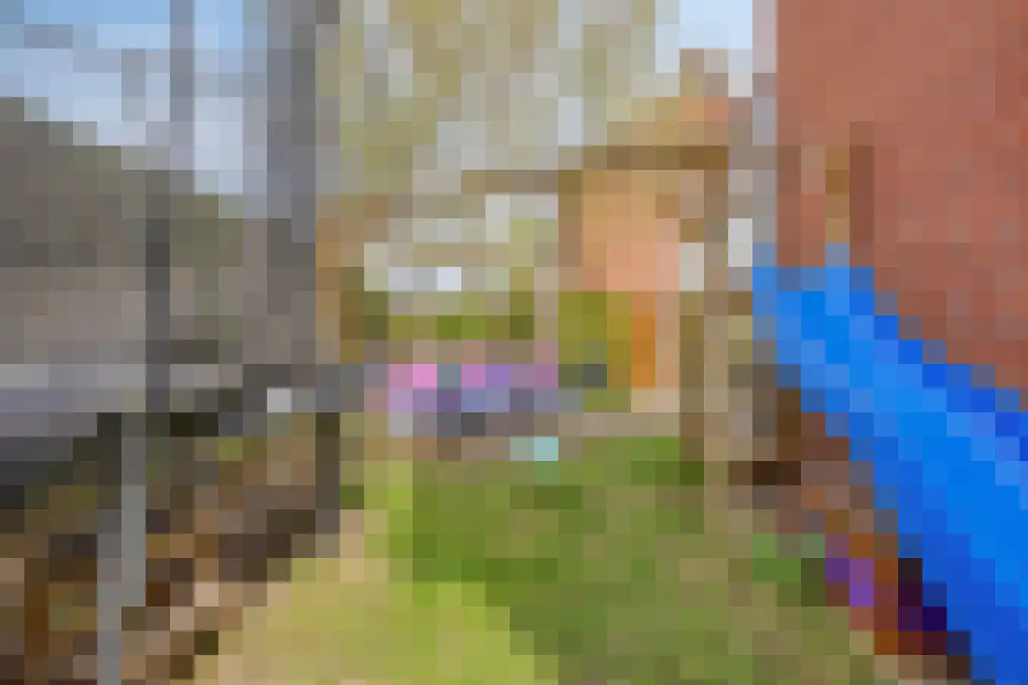 Elisabet van Egmontstraat 20 Naaldwijk thumbnail 36
