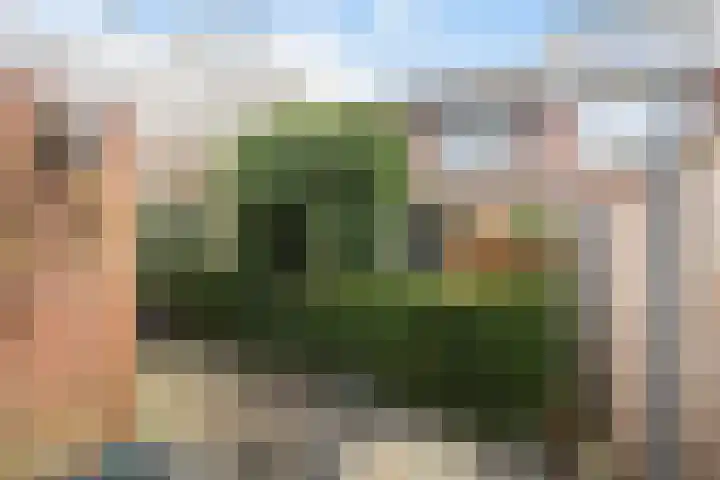 Elisabet van Egmontstraat 4 Naaldwijk thumbnail 11