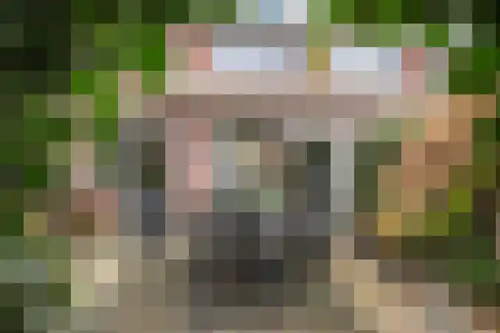Elisabet van Egmontstraat 4 Naaldwijk thumbnail 12