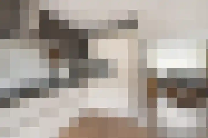 Elisabet van Egmontstraat 4 Naaldwijk thumbnail 13