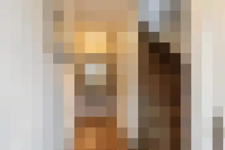 Elisabet van Egmontstraat 4 Naaldwijk thumbnail 15