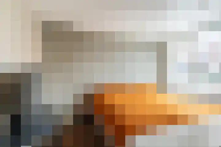 Elisabet van Egmontstraat 4 Naaldwijk thumbnail 16