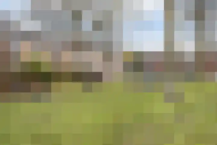 Elisabet van Egmontstraat 4 Naaldwijk thumbnail 24