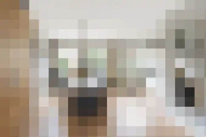 Elisabet van Egmontstraat 4 Naaldwijk thumbnail 5