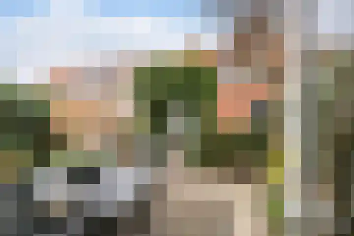 Elisabet van Egmontstraat 4 Naaldwijk thumbnail 8