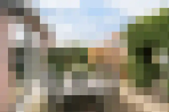 Elisabet van Egmontstraat 4 Naaldwijk thumbnail 9