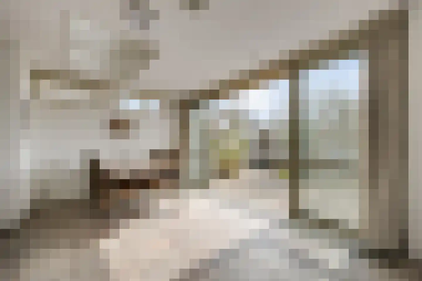 Elisabeth Bas 1 Boxtel thumbnail 14