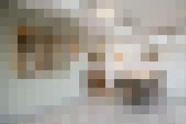 Elisabeth Bas 1 Boxtel thumbnail 15