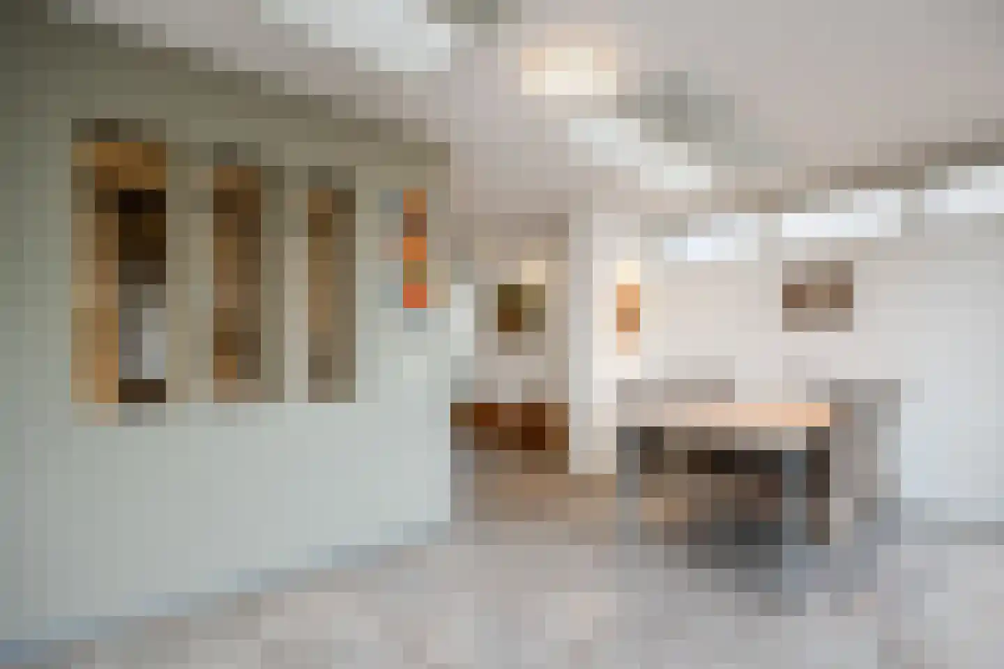 Elisabeth Bas 1 Boxtel thumbnail 16