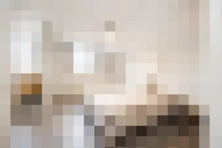 Elisabeth Bas 1 Boxtel thumbnail 27