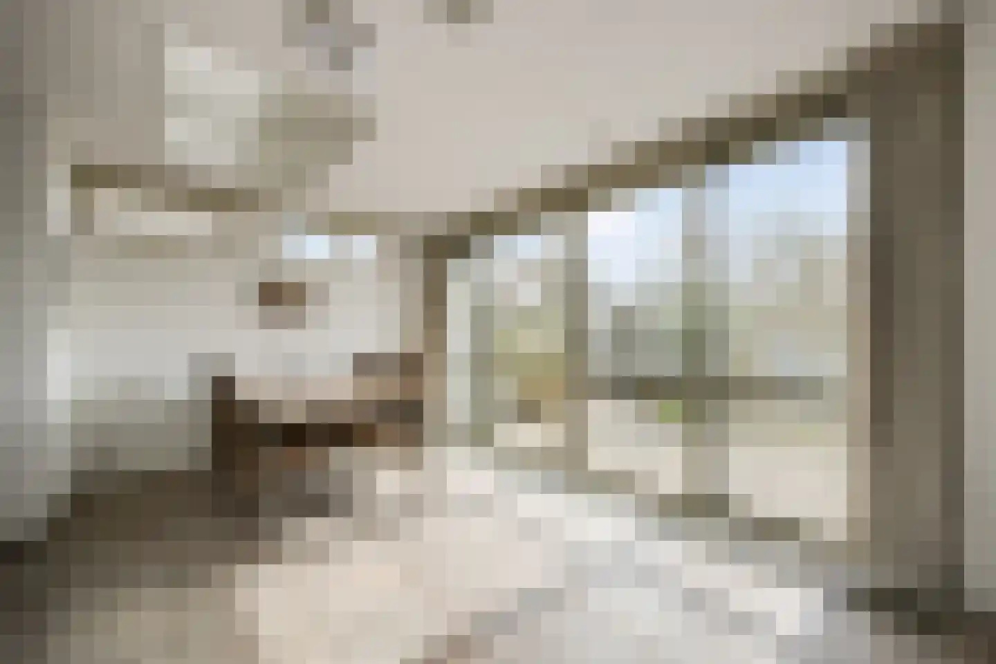 Elisabeth Bas 1 Boxtel thumbnail 4