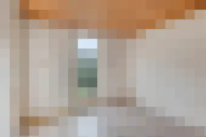 Elisabeth Bas 13 Boxtel thumbnail 13