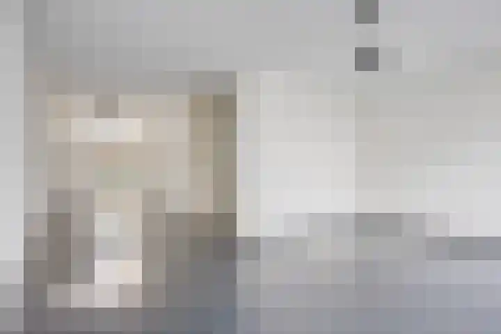 Elisabeth Bas 13 Boxtel thumbnail 7